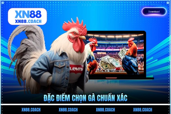 Đặc điểm chọn gà chuẩn xác Đặc điểm chọn gà chuẩn xác