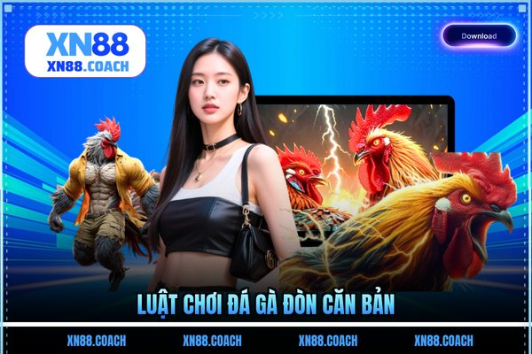 Luật chơi đá gà đòn căn bản Luật chơi đá gà đòn căn bản