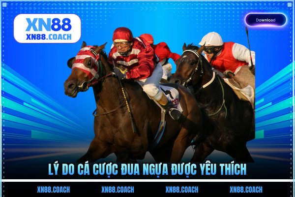 Lý do cá cược đua ngựa được yêu thích