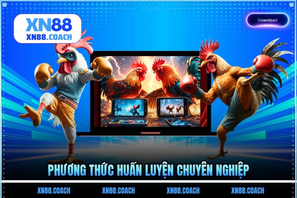 Phương thức huấn luyện chuyên nghiệp Phương thức huấn luyện chuyên nghiệp