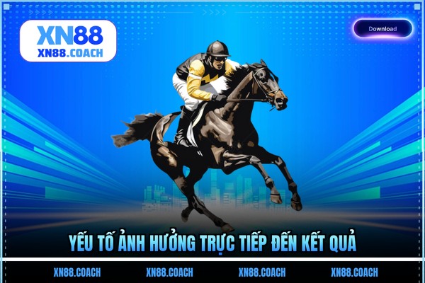 Yếu tố ảnh hưởng trực tiếp đến kết quả